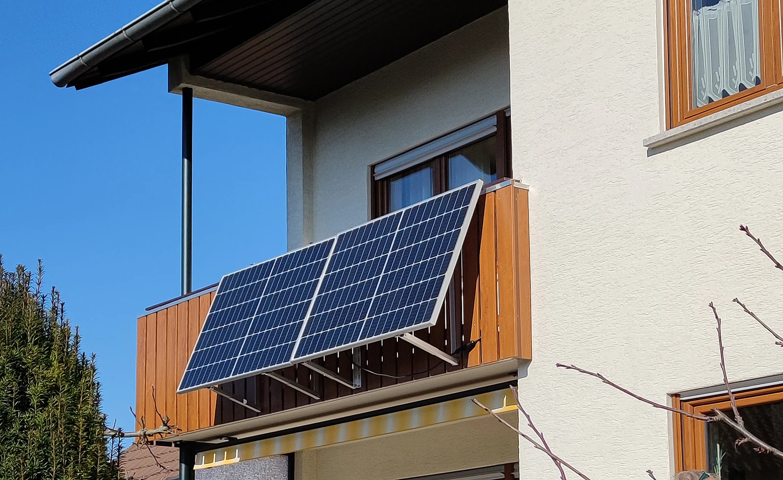 system (4) system (4)